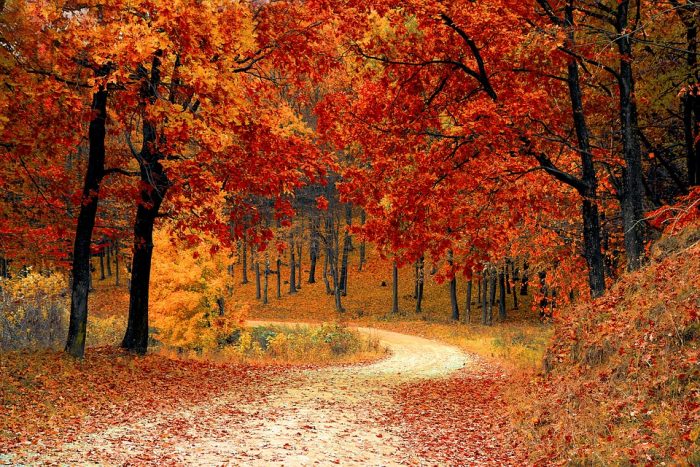 Amazing facts about autumn