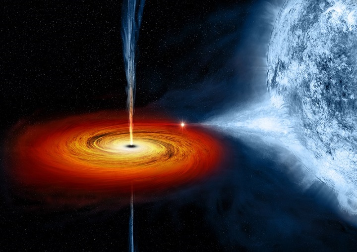 Black hole star