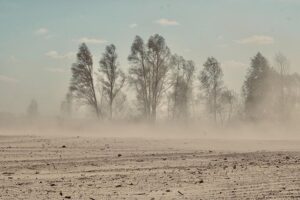 15 Interesting Facts About Dust Storms