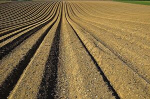 25 Interesting Facts About Soil