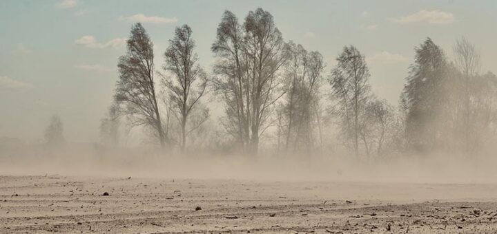 Facts about dust storms